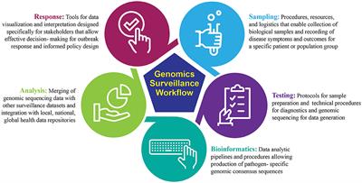 An Implementation Strategy to Develop Sustainable Surveillance Activities Through Adoption of a Target Operating Model